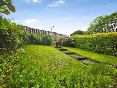 Picture 20